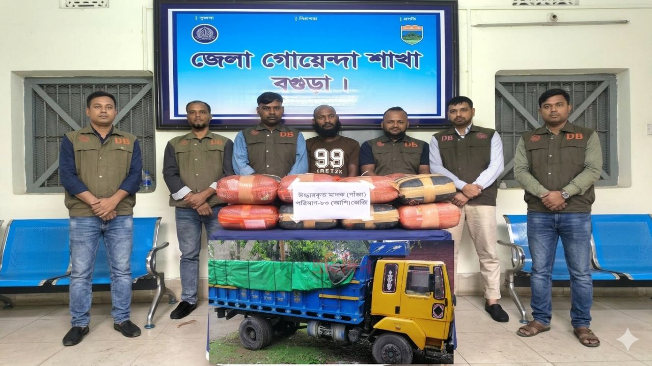 বগুড়ায় বালুভর্তি ট্রাকে মিলল ৮০ কেজি গাঁজা চালক গ্রেফতার